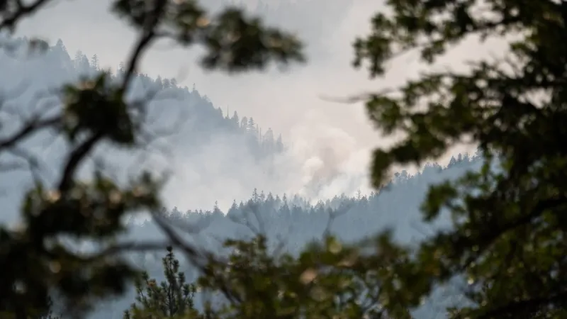 Smoke and wildfire danger force cancellation of Wasco County Fair, as historic fire season continues