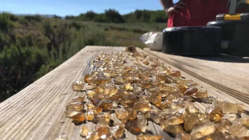 This Remote Oregon Mine Lets You Dig for Real Sunstones and Keep What You Find