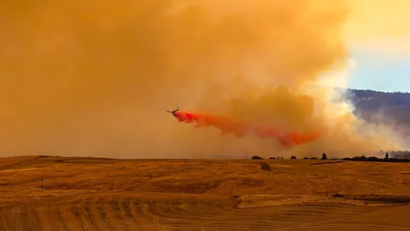 Grasshopper Fire burns over 83,000 acres amid gusty winds; more crews join fight