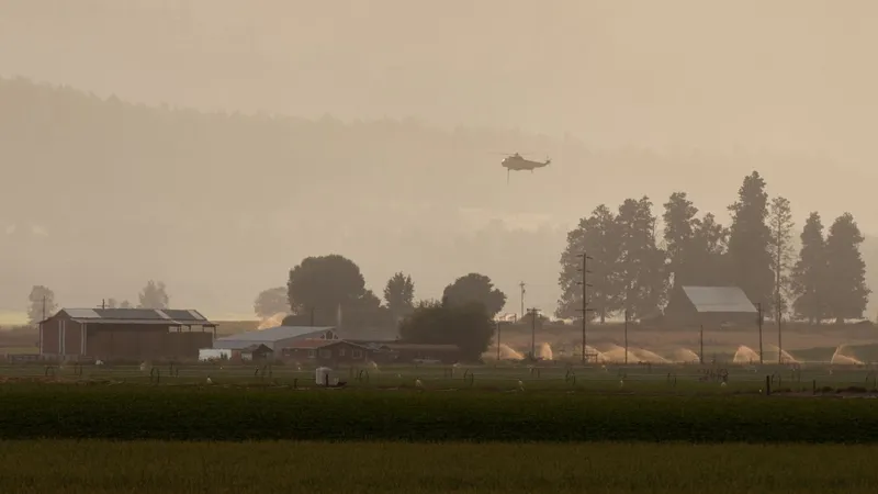 Gallery: Wrights Spring Fire