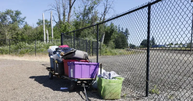 Albany parks see "significant increase" in illegal camps this summer