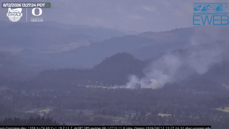 Vegetation fire reported north of Jasper and Mount Vernon roads in Springfield