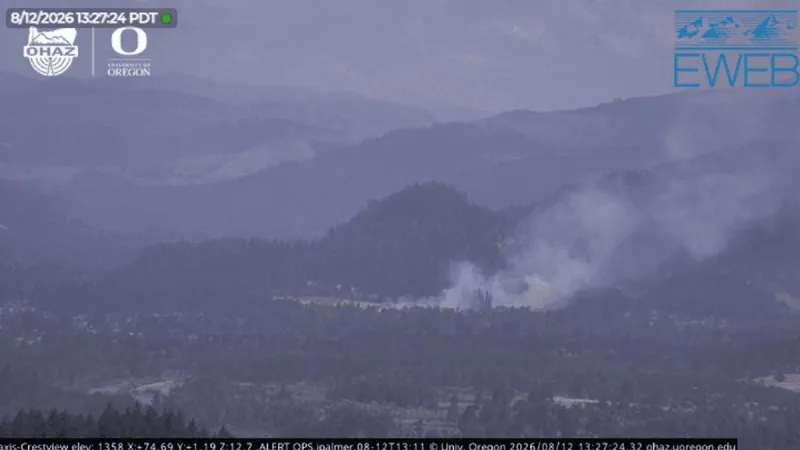 Vegetation Fire Burns Near Jasper and Mount Vernon Roads in Springfield