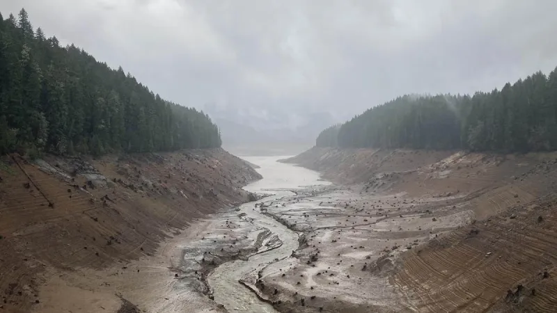 Dead Fish, Drawdowns, Dams, and Lawsuits Muddy the Waters in Oregon's Push to Save Salmon