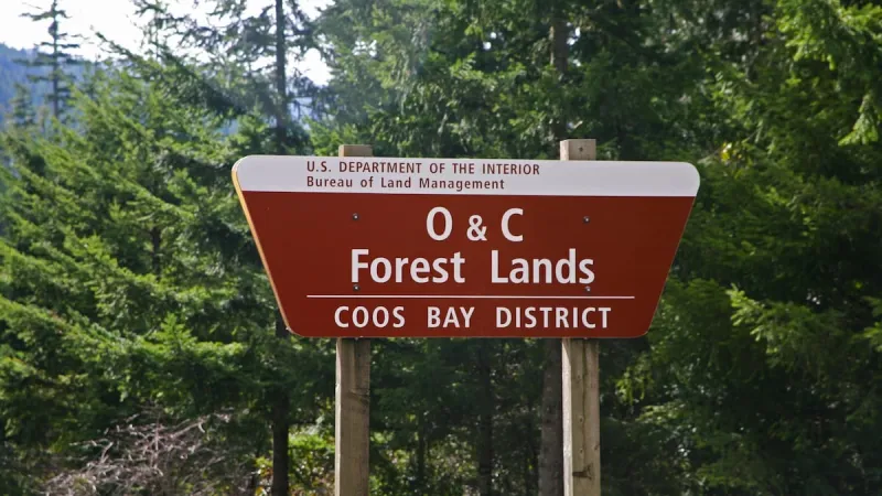 Coos County expects more timber money, but won't budget it yet
