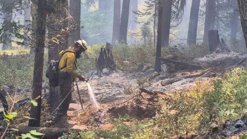 Lightning sparks many new Oregon, Washington fires as storms linger in forecast