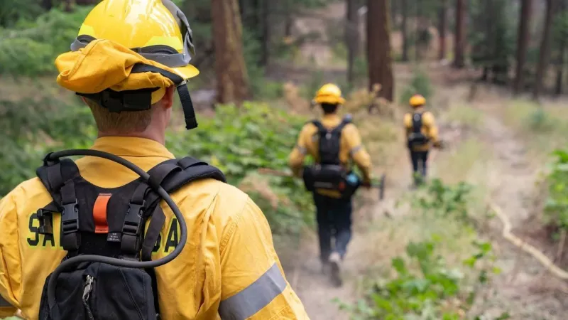 37 large fires continue to burn across Oregon; weather conditions remain a challenge