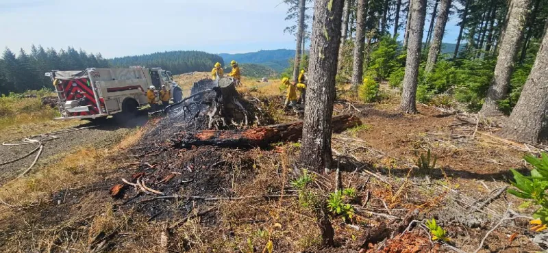 DFPA CREWS RESPOND TO NATURAL COVER FIRE NORTHWEST OF TENMILE