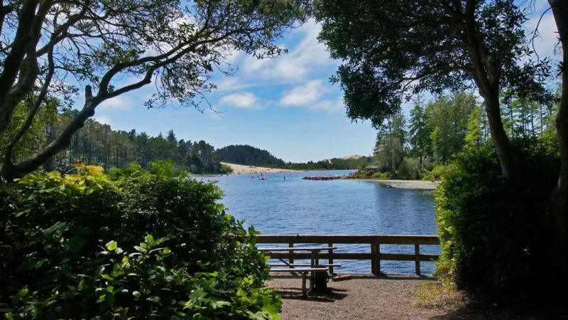 Honeyman State Park campground to close for days as 150-plus hazard trees are removed