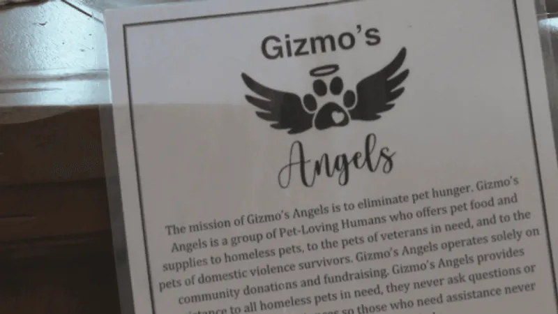 Gizmo's Angels helps keep pets and owners together