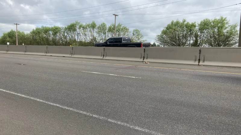 Pedestrian killed in crash on Beltline Highway