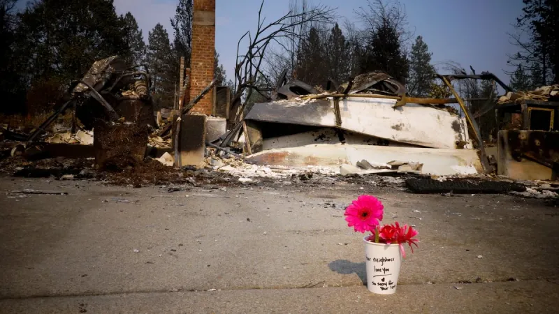 Ferguson, Baumgartner seek meeting with Trump on Washington wildfires