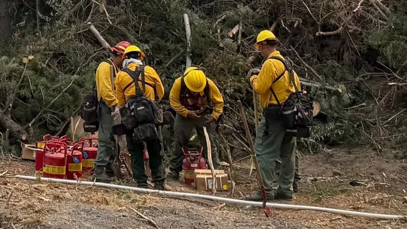 Oregon wildfires scorch 2.63 million acres, nearly four times the annual average