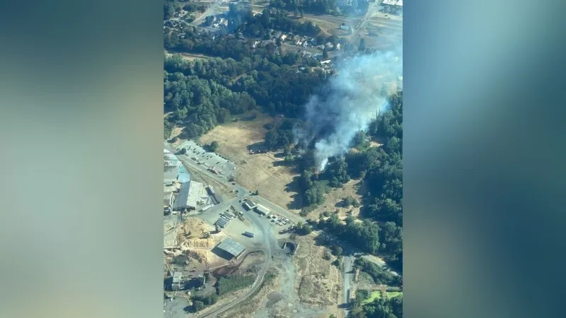 Crews battle vegetation fire near Reuben Road in Glendale, DFPA says