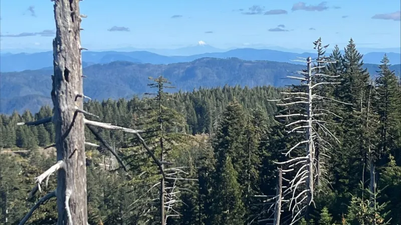 Huckleberry Mountain sets 10-day closure for ceremonial purposes
