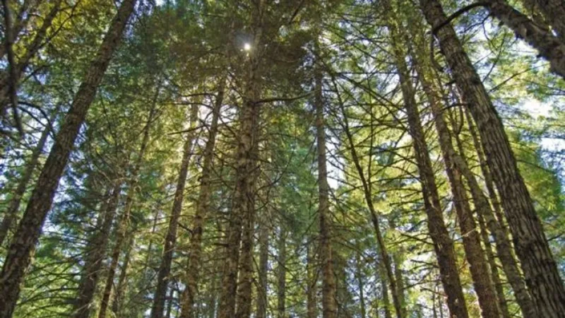 BLM urges hunters to prevent wildfires as Oregon fire season burns on