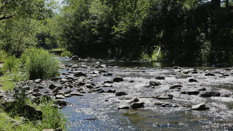Only 14 Oregon rivers are 'navigable': The other 100,000 miles of waterways are in legal limbo