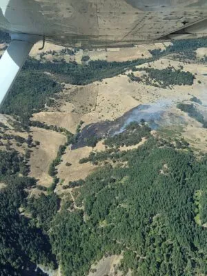 DFPA/ OTHER AGENCIES, DEAL WITH GRASS FIRE IN OLALLA AREA