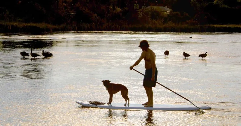 US cities where wellness is thriving right now