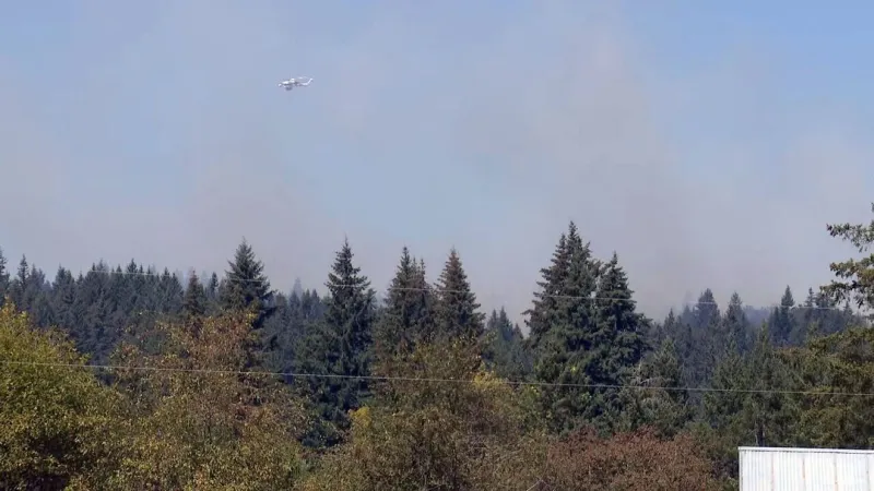 Brush Fire closes SR-503 in Clark County, prompts Level 3 'GO NOW' evacuations