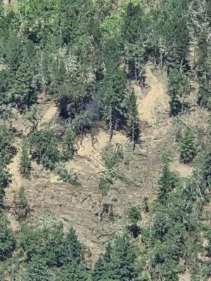 DFPA RESPONDS TO DIMMICK CREEK FIRE ON MONDAY
