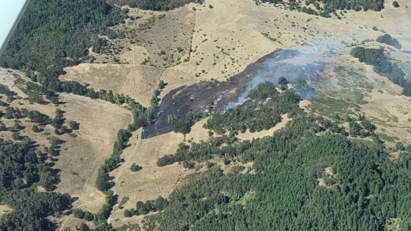 Human-caused Olalla Road Fire burns 23 acres near Winston