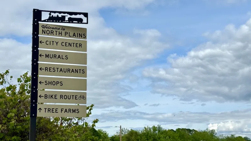 City of North Plains navigating community division and government crisis