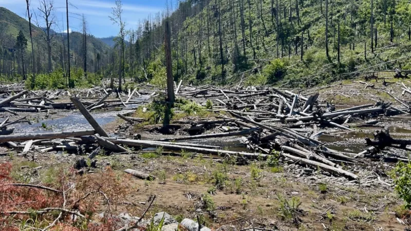 McKenzie Watershed Alliance says it was embezzled; Eugene water board wants to know if its funds were impacted