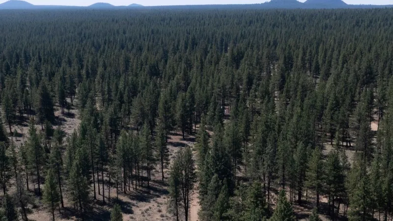 Deschutes National Forest lifts closures caused by Akawa Butte Fire