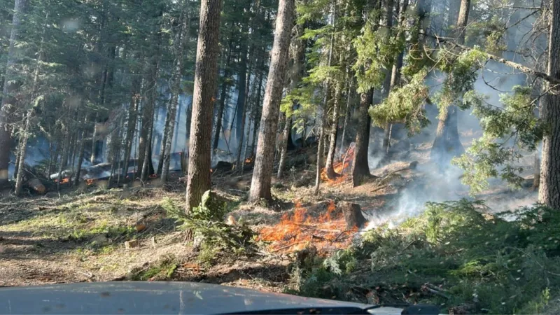 Austin Fire in Mount Hood National Forest remains uncontained, officials say