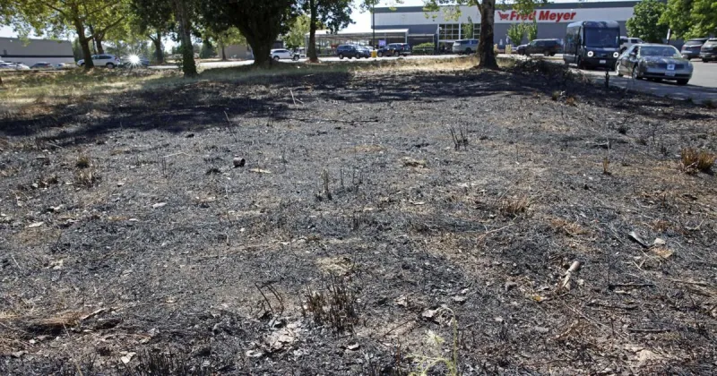Albany man sentenced for arson near Fred Meyer