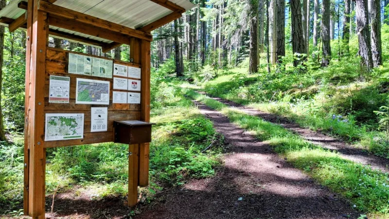 The Corvallis to the Sea hiking trail is again fully open