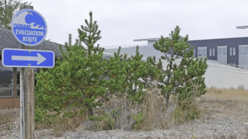 Oregon releases new guidance for tsunami evacuation structures