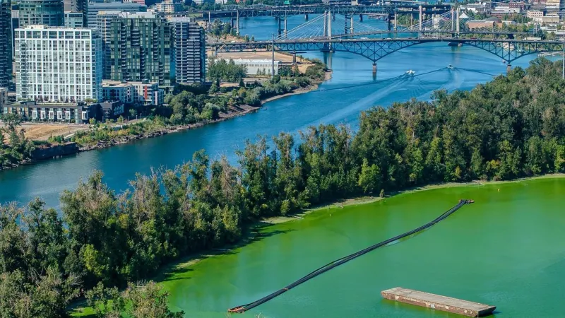 OSU biologist: Ross Island Lagoon's 'worst algae bloom in 10 years' spreads