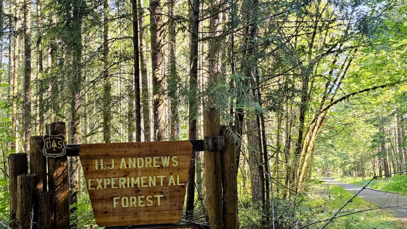 Research projects in the Pacific Northwest's experimental forests face funding uncertainty