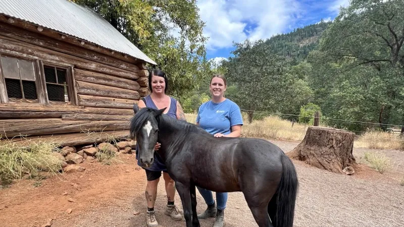 At a Grants Pass ranch, horses become part of therapy