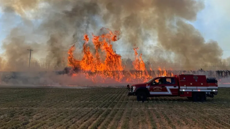 Fast moving vegetation fire along Highway 99 stopped by fire crews in Corvallis