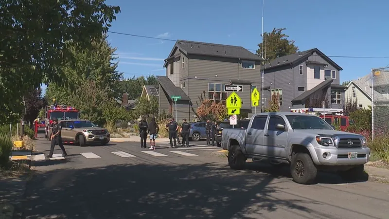 Pitchfork, hammer and knife reported in Portland home break-in