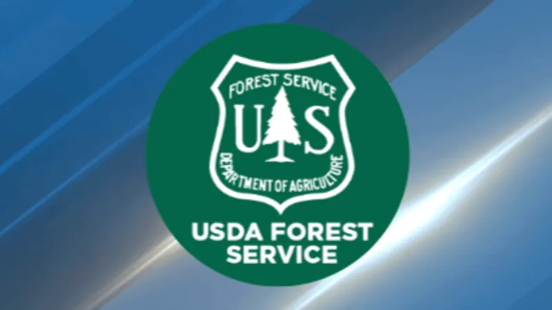New wildfire burns 10 to 15 acres in Fall Creek area of Willamette National Forest