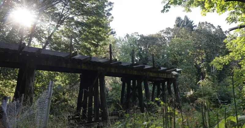Oregon DEQ settles with railroad over Marys River bridge collapse, drops inspection demand