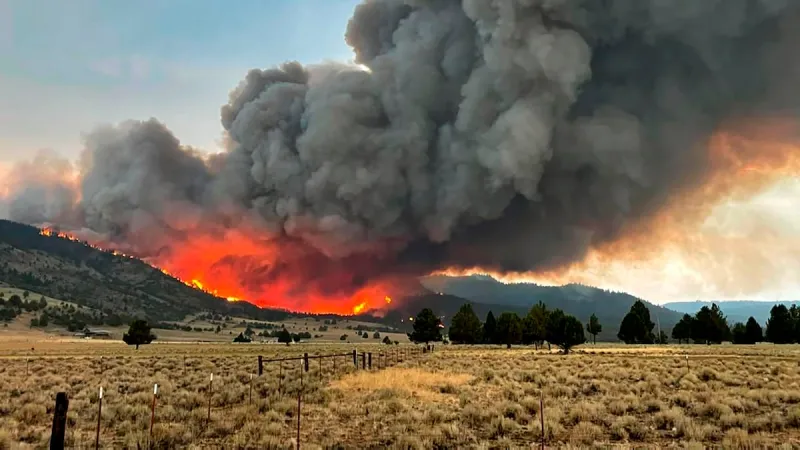 Journalist shares perspectives from Josephine County residents living with hazardous wildfire smoke