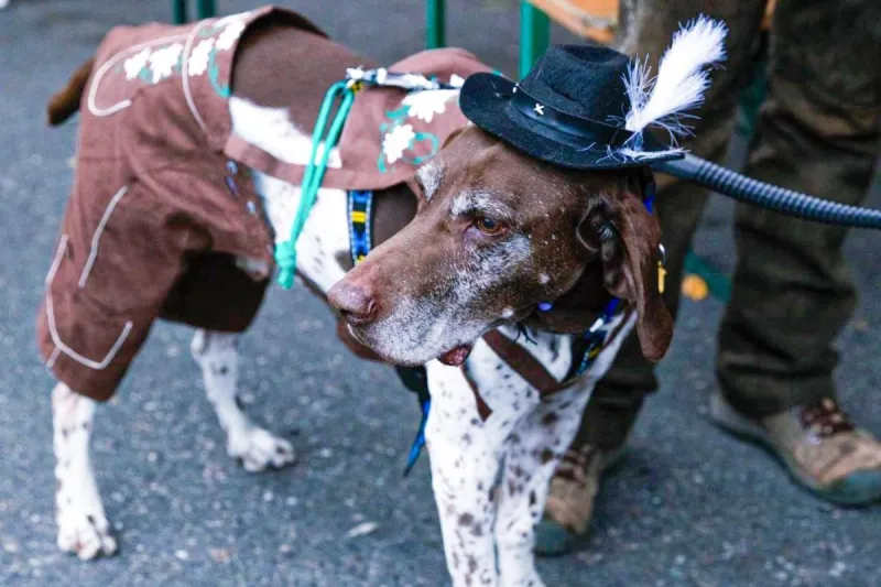 Oktoberfest Already? Here's Where to Go In and Around Portland.