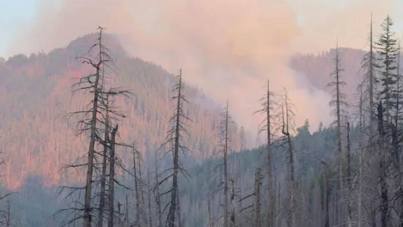 Deep Creek Fire grows to 60 acres northeast of Lowell, full suppression efforts continue