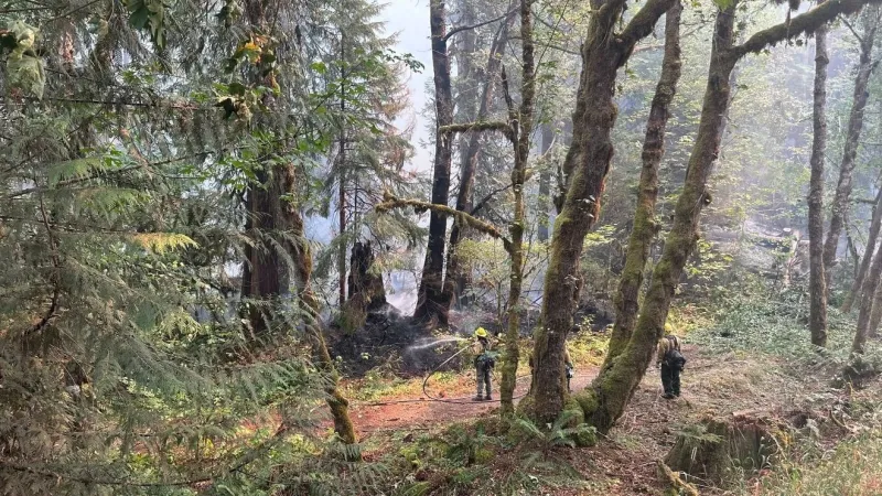 Austin Fire in Mt. Hood forest reaches 8% containment, first progress since Aug. 9
