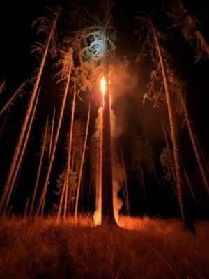 DFPA RESPONSE TO LIGHTNING CAUSED FIRE