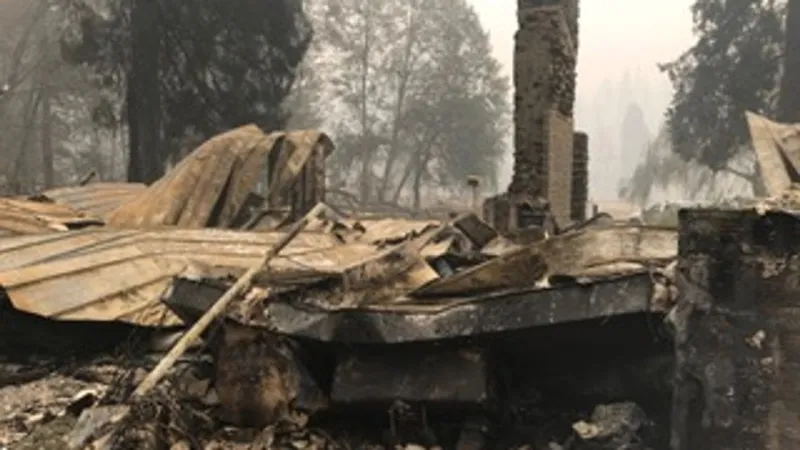 16 paintings saved from Holiday Farm Fire now on display at Eugene library