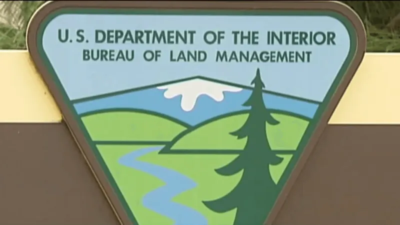 Emergency rescue begins in Oregon to save wild horses threatened by drought, fires