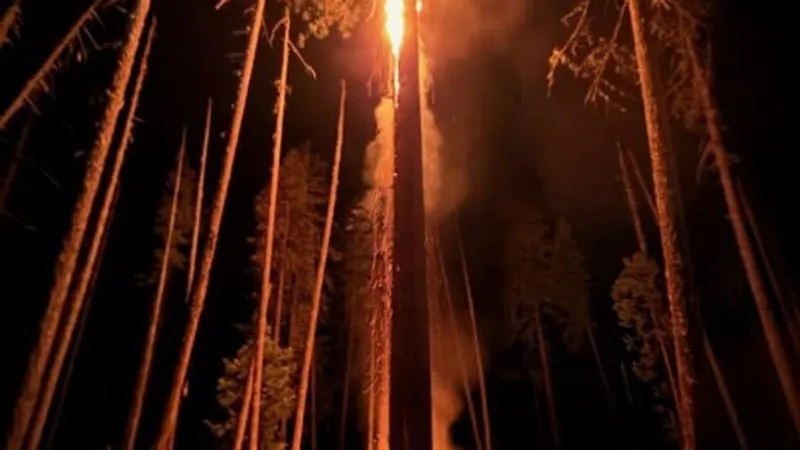 Lightning sparks three small fires near Tiller; crews continue reconnaissance