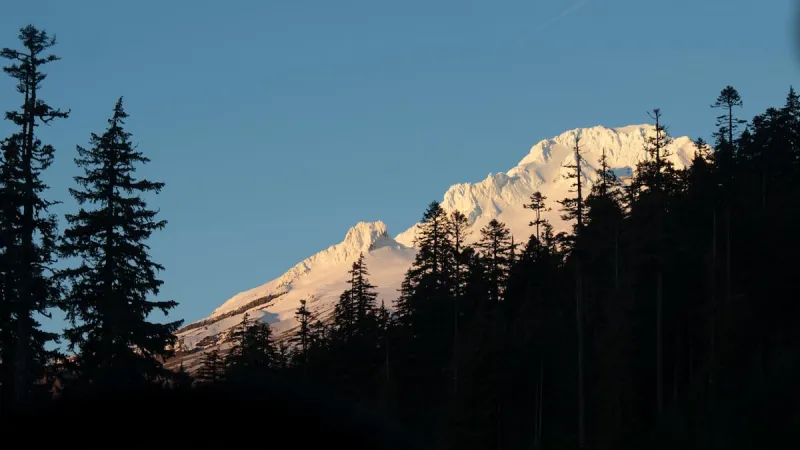 US Forest Service releases long-awaited restructuring plan