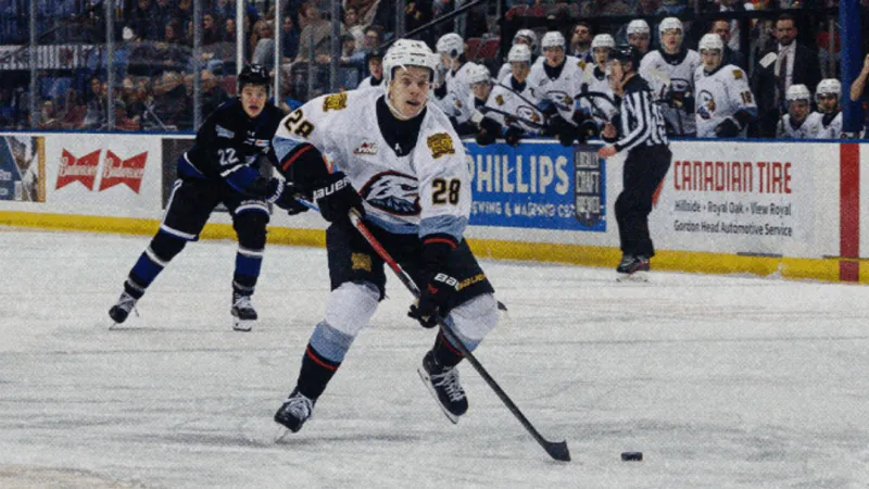 Portland Winterhawks games will be a lot easier to watch this upcoming season